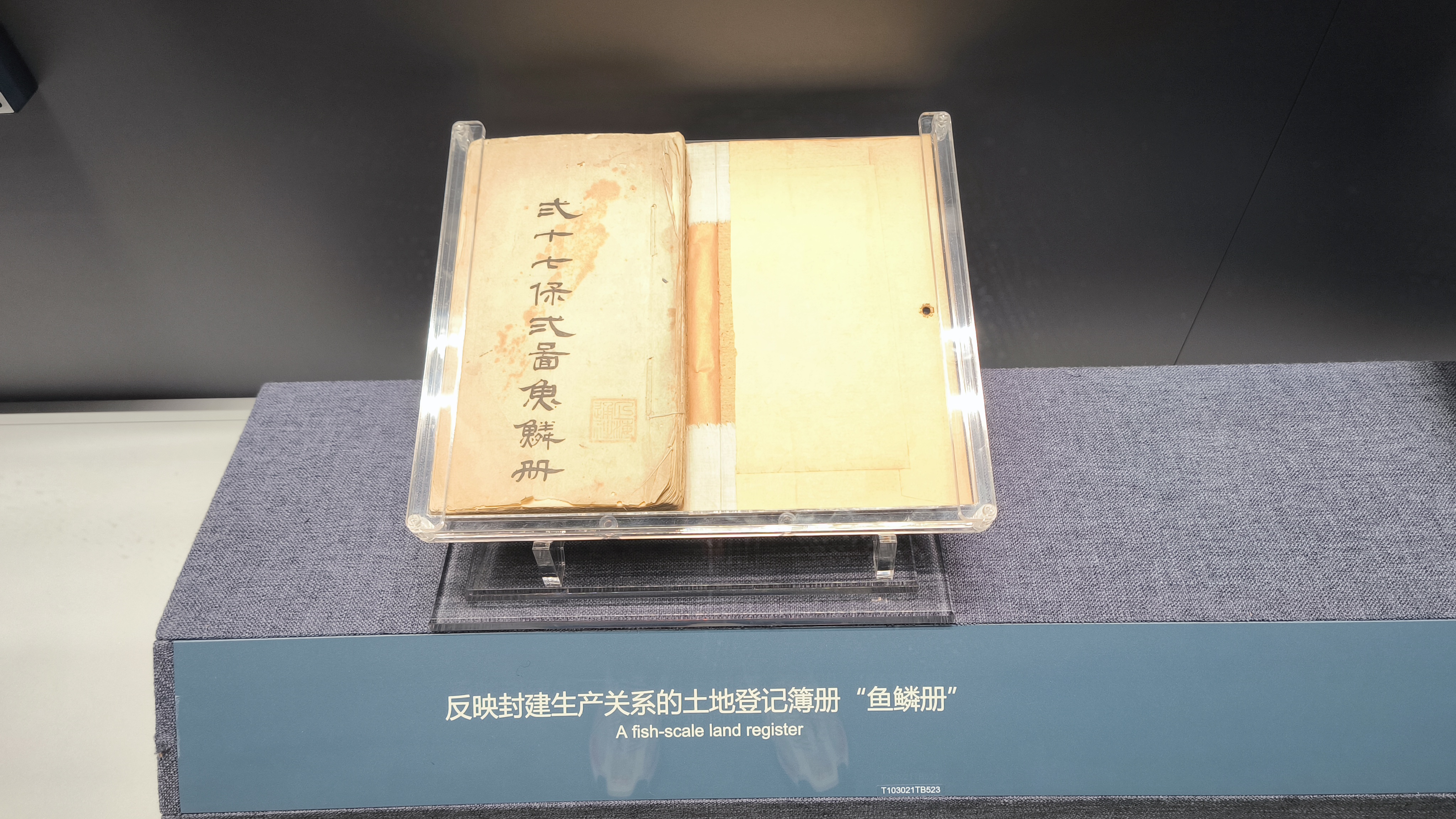 第二单元现场照片17